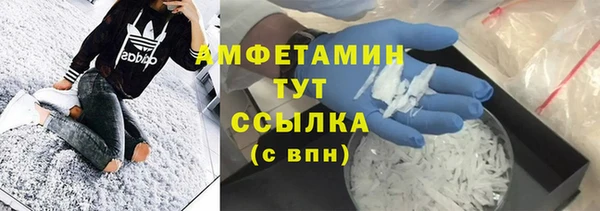 прущие грибы Баксан