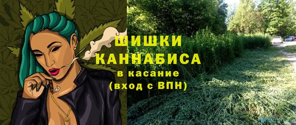 прущие грибы Баксан