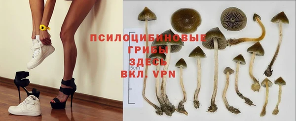 круглые Армянск