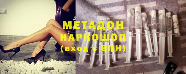 прущие грибы Баксан